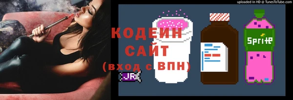 соль ск Лабытнанги