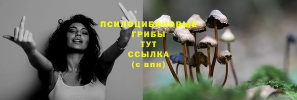 ГАЛЛЮЦИНОГЕННЫЕ ГРИБЫ Лиски