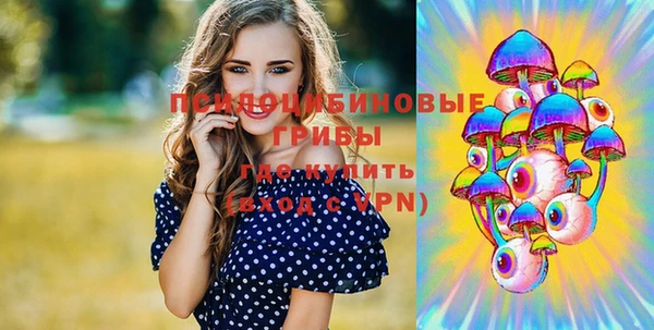 мет Ладушкин