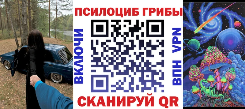 наркошоп  Чухлома  Галлюциногенные грибы Psilocybine cubensis 